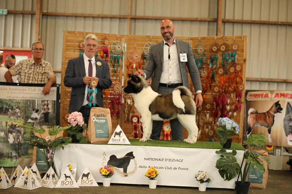 Rampage Spirit Always ready to shine